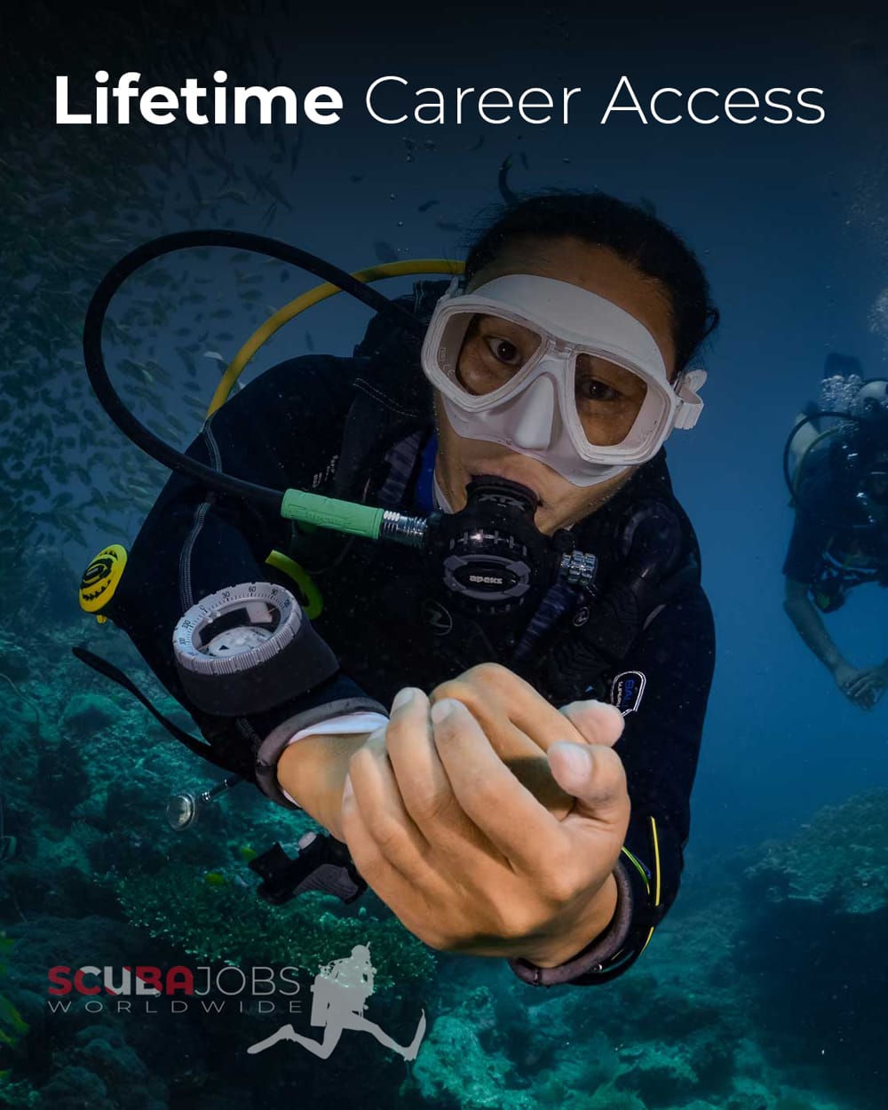 Lifetime Career Access 3