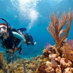 scuba dive jobs