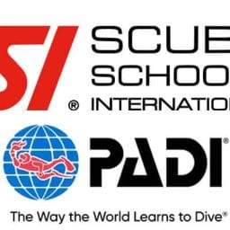 ssi vs padi