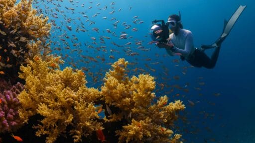 Scuba jobs worldwide underwater photographer scubalife divejobs