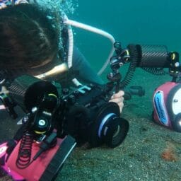 5e7ef46f eabd 4727 8e7a 0a631bc5d1d8