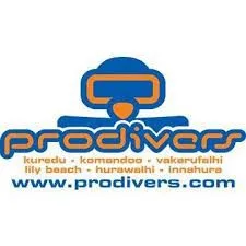 PDlogo