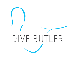 Global Dive Jobs
