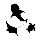 PADI LOGO BBD JOB SITE