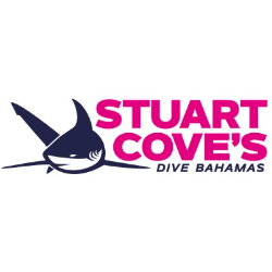 Global Dive Jobs