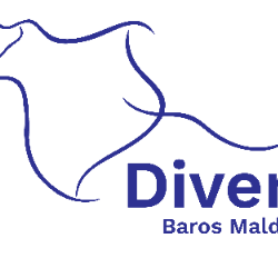 Global Dive Jobs