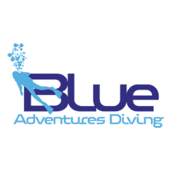 Global Dive Jobs