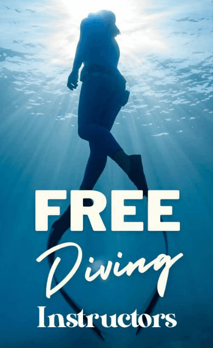 Global Dive Jobs