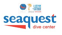 Global Dive Jobs