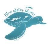 Global Dive Jobs