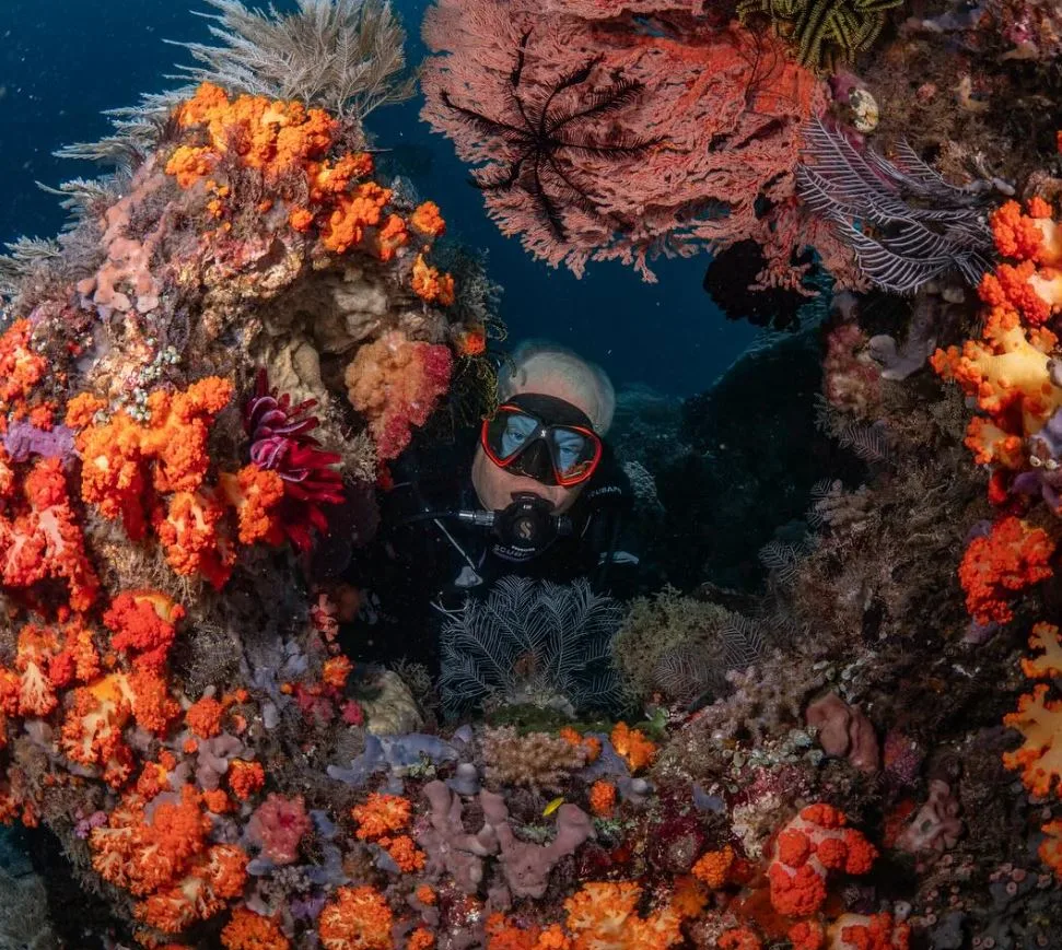 Global Dive Jobs