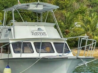 Global Dive Jobs
