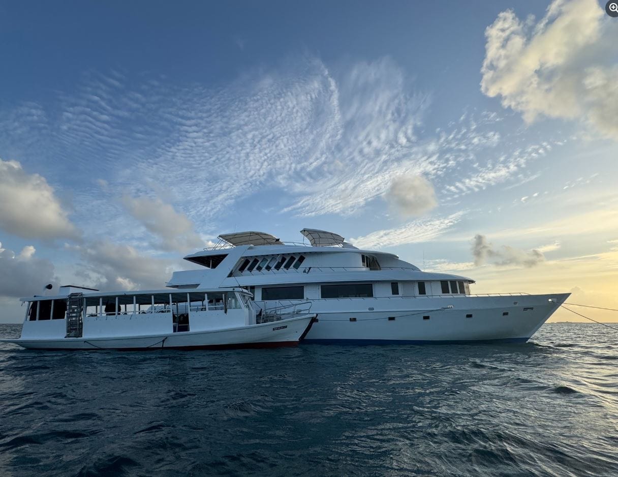 Global Dive Jobs