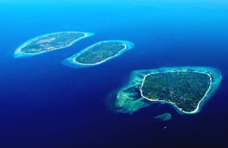 Global Dive Jobs