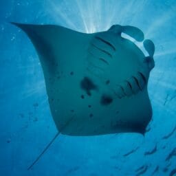 Screenshot 2025 12 19 182832