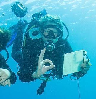 Global Dive Jobs