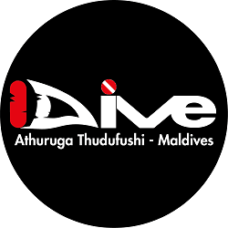 Global Dive Jobs