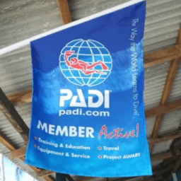 Screenshot 2026 03 01 233649