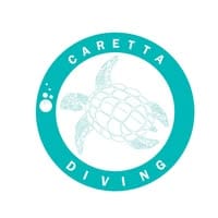 Global Dive Jobs